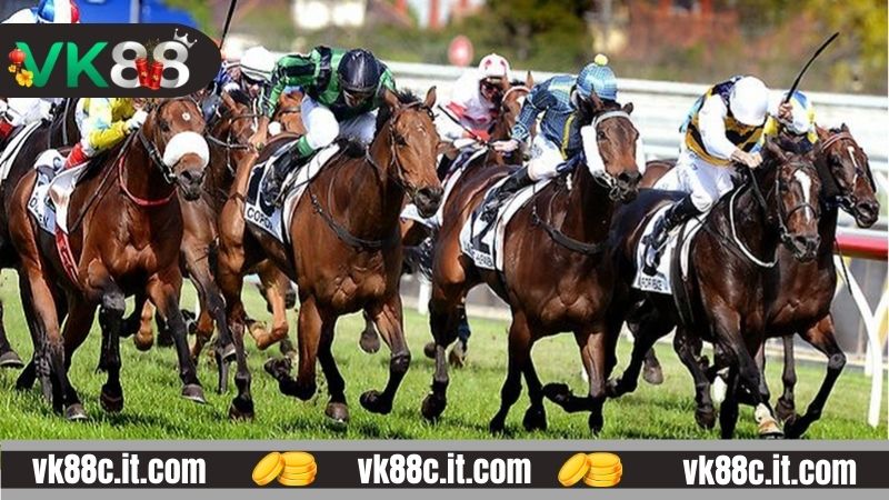 Tính tiền thưởng khi cá cược đua ngựa VK88